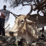 KENYA-DROUGHT/